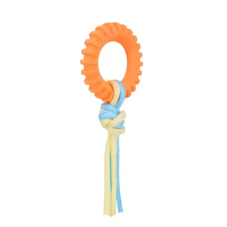 BASIL RING WITH ROPE TOY
