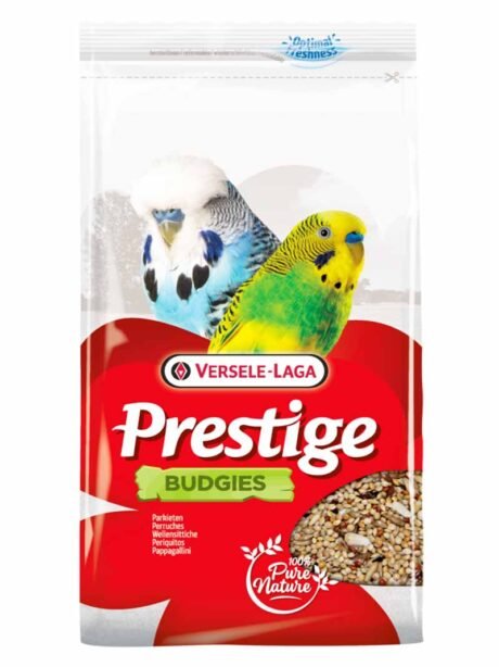 PRESTIGE BUDGIES