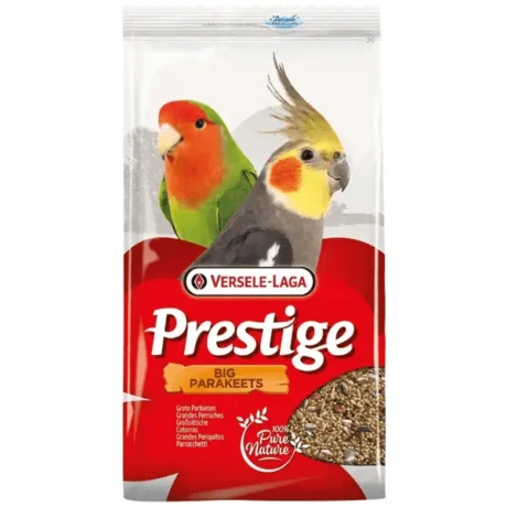 PRESTIGE BIG PARAKEETS